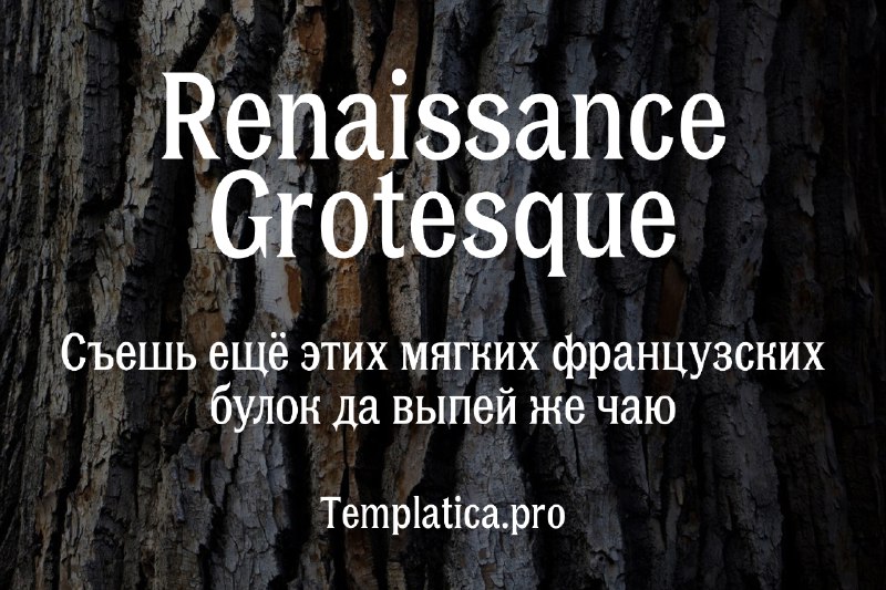 TEMPLATICA.PRO