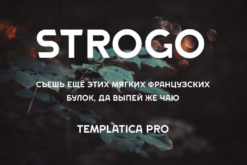 TEMPLATICA.PRO