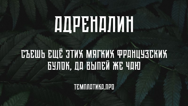 TEMPLATICA.PRO